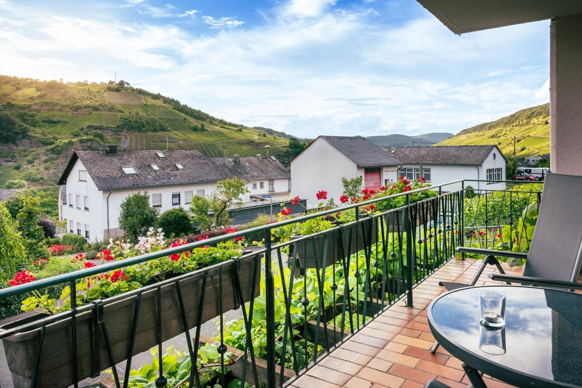 Ferienweingut Hirschen Schulstrasse Bed & Breakfast Burg  Exterior photo