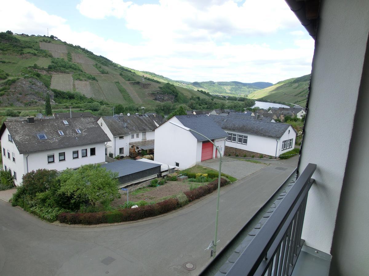 Ferienweingut Hirschen Schulstrasse Bed & Breakfast Burg  Exterior photo